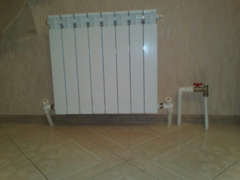 IMG047.jpg