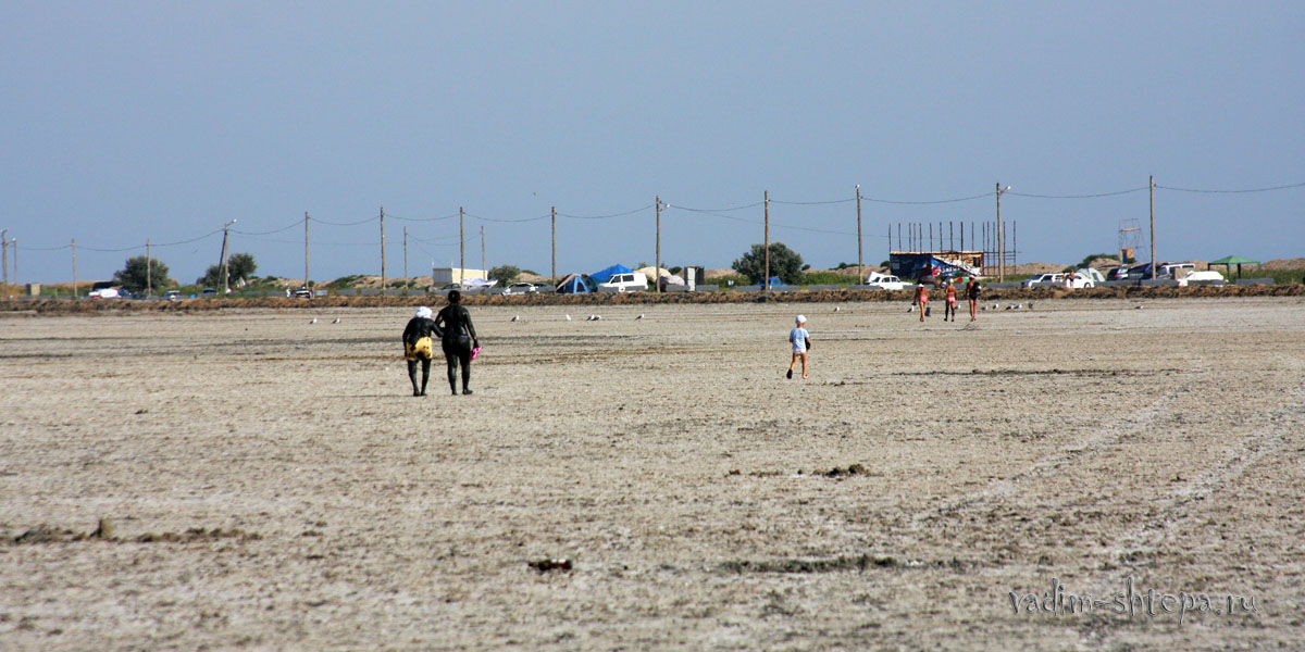 IMG_8752.jpg