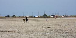 IMG_8752.jpg
