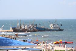 IMG_8312.JPG
