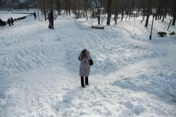 IMG_9096__.jpg