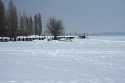 IMG_9348___001.jpg
