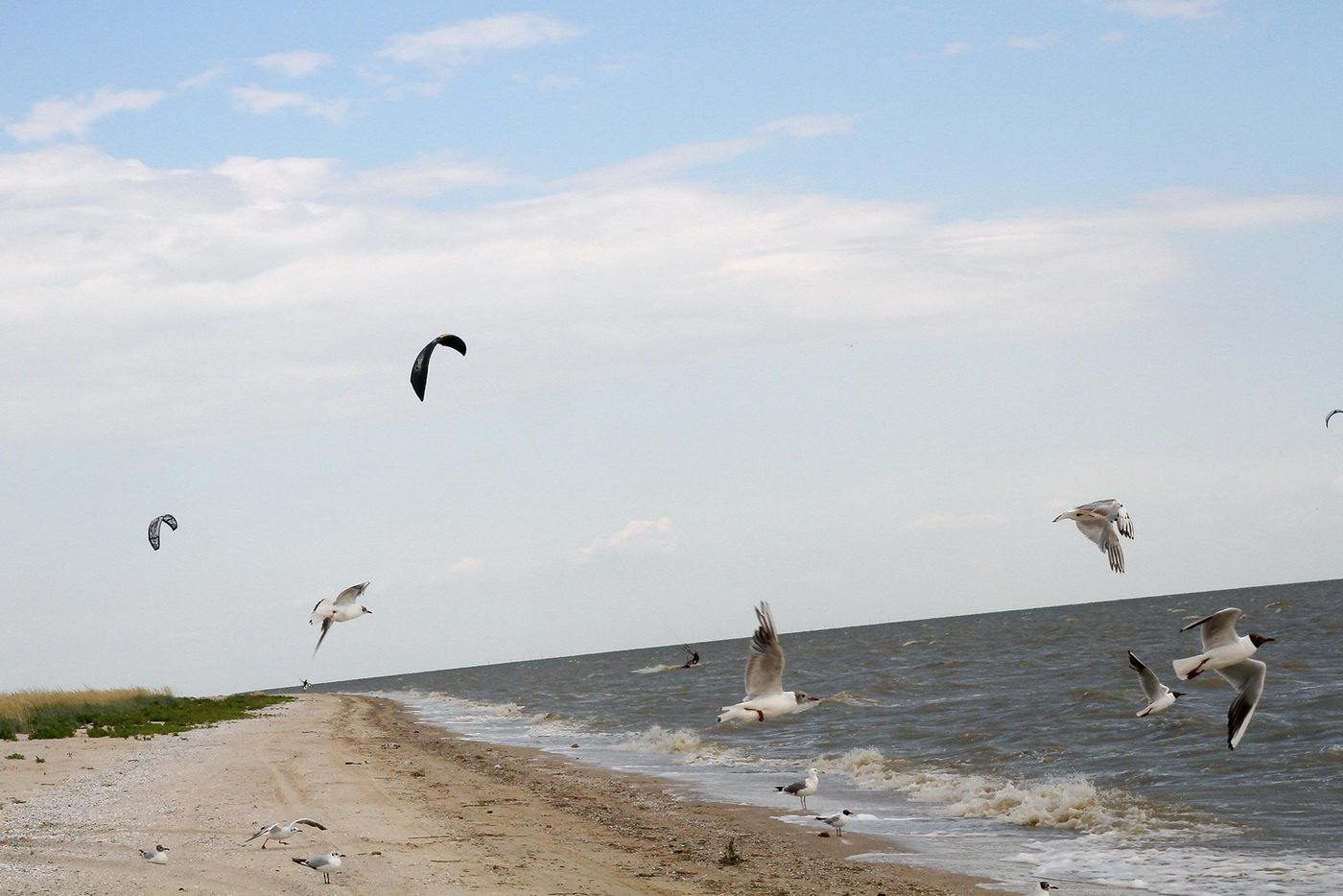 IMG_5695 __.jpg
